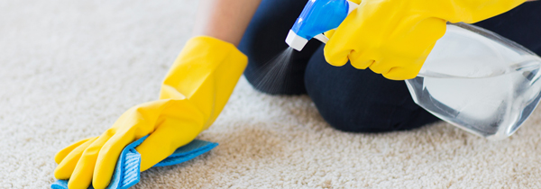 Carpet Cleaning Supplies