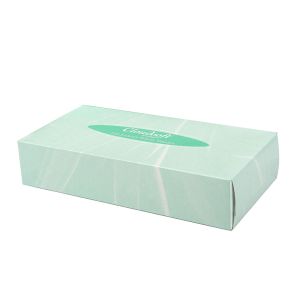 Cloudsoft 2ply Facial Tissues ‑ 36 Boxes